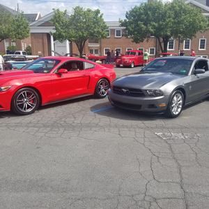 Meet your Posher, Nelson